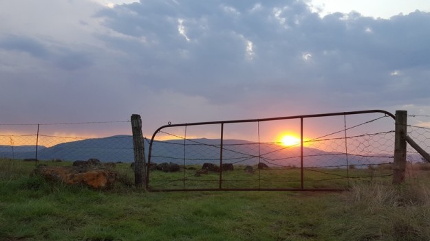Old Farm Gate at Sunset